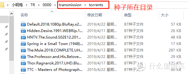 tr种子所在位置