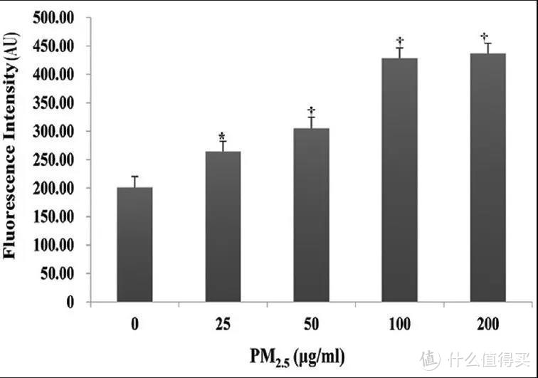 PM2.5影响细胞活力