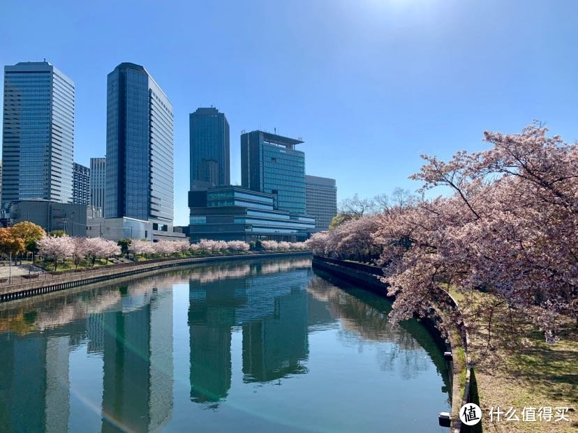 一个人溜达日本流水账D2 清晨的大阪城，神户动物王国