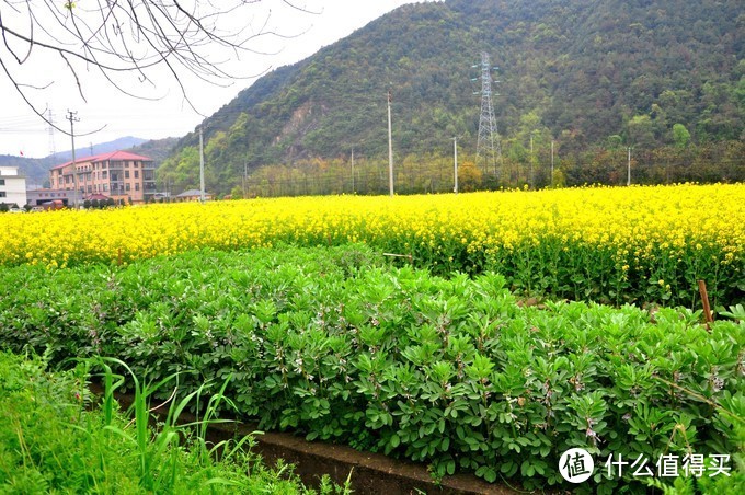 五一出行还没有规划？走，去南方“吃春天”，用胃承包江浙沪！