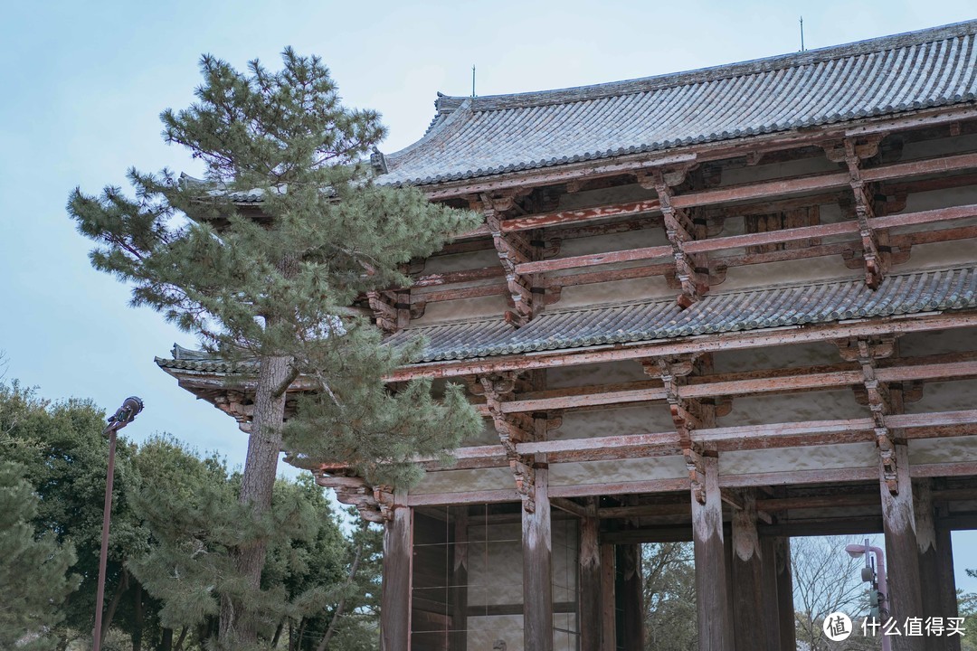 【多图预警】平成年最后一次樱花盛开！赏樱购物旅拍全记录，关西五日自由行~