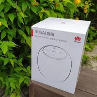 华为AI音箱外观展示(麦克风|按键|材质|扬声器|接口)