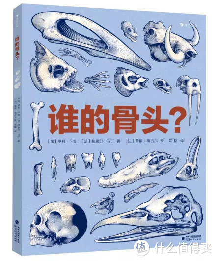 百科绘本实测| 突然读到了17年前最想读的那种书，太惊喜了！