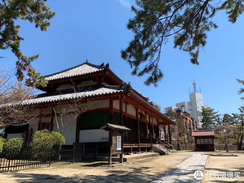 一个人溜达日本流水账D5 koe donuts西大寺