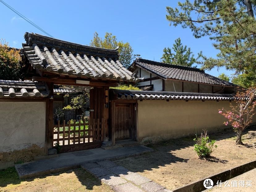 一个人溜达日本流水账D5 koe donuts西大寺