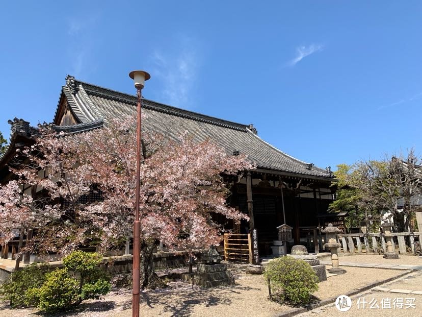 一个人溜达日本流水账D5 koe donuts西大寺