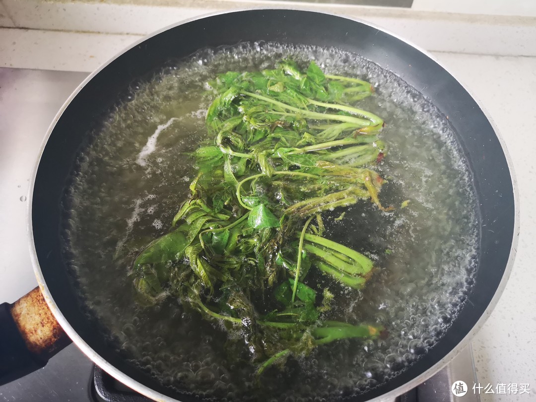 不要被“香椿自由”支配的痛苦，只要香椿花式吃法的欢乐！快跟着我学着做这几道菜吧！