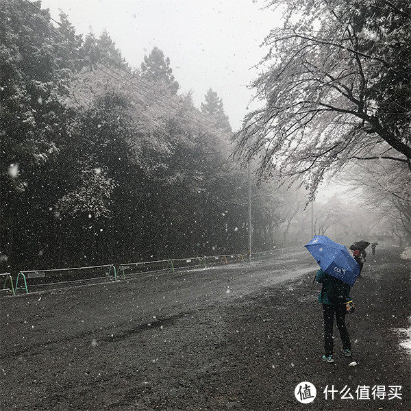 飘雪