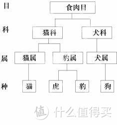 为了挑选猫爱吃的湿粮罐头，我这20天竟然都在研究猫屎