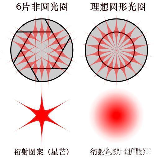 偶数叶片星芒条数和叶片数一致，且叶片越圆星芒越不明显