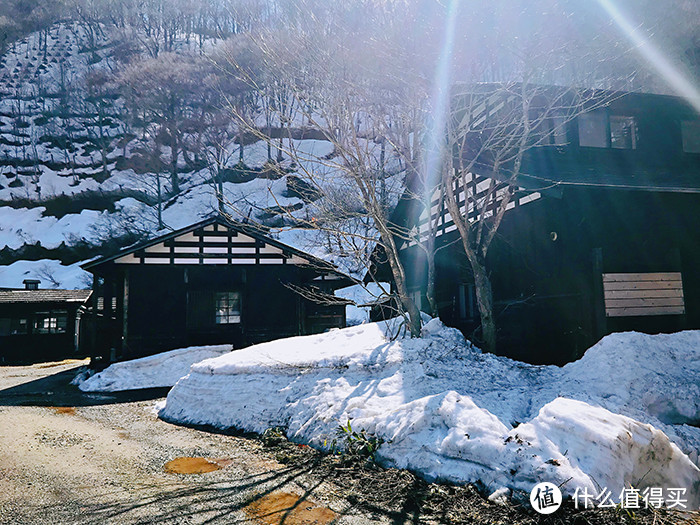 今年飘雪正春天：日本东北赏樱混浴温泉之旅