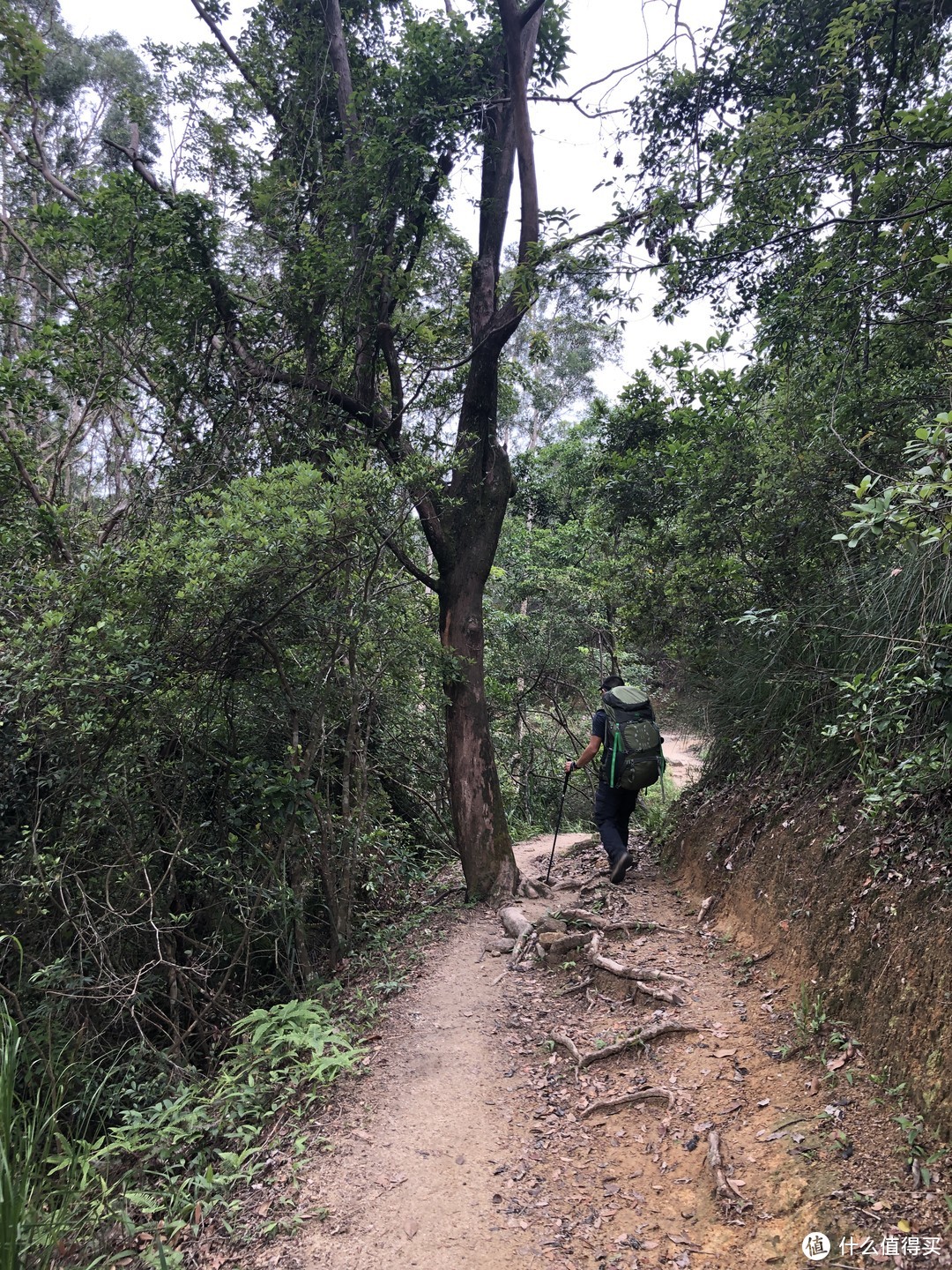 假期去哪玩？香港麦理浩径走全程！+ 超详细攻略