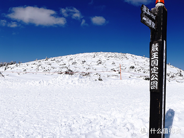 今年飘雪正春天：日本东北赏樱混浴温泉之旅