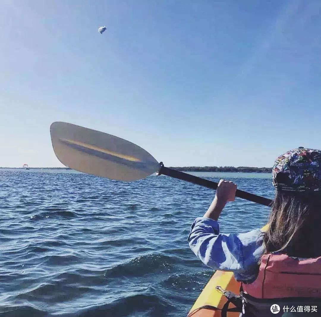 逃离北半球的寒风，反季游来《海王》取景地冲浪喂海豚