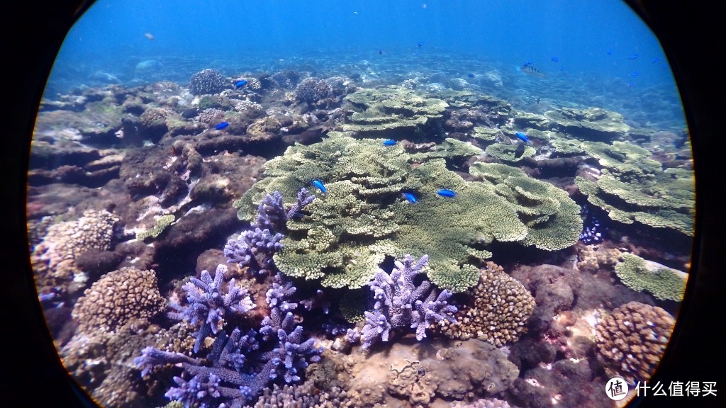 浮潜美景