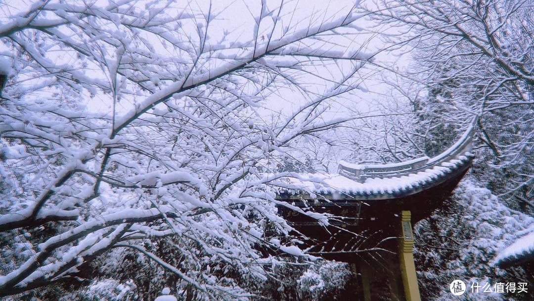 去年下雪的时候