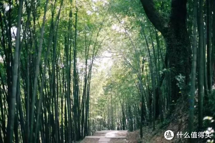 隐于梅灵山脚的喜舍，行赏葱郁，卧观星辰，睡进杭州最美的秋色里