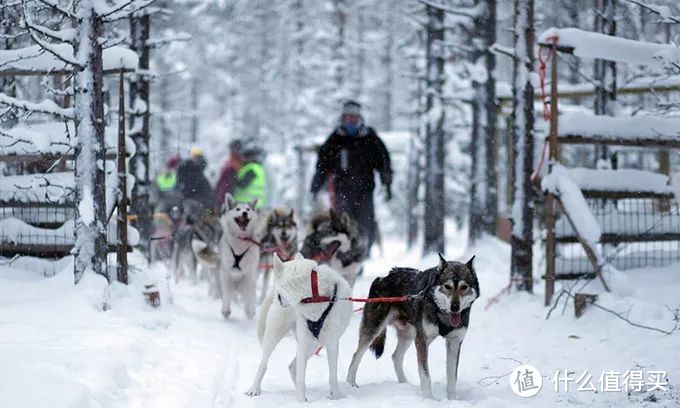 一生一次，给你最完整的芬兰看极光攻略，住冰屋泡桑拿，去圣诞老人村…绝对的有生之年系列！