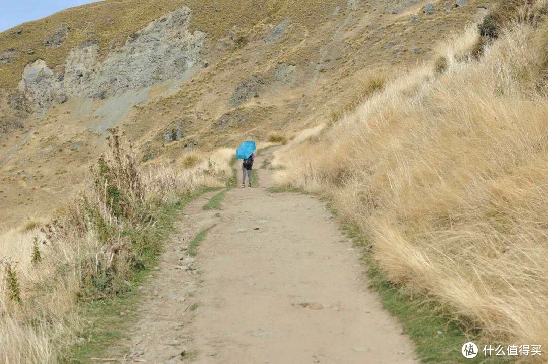 那一刻我和网红站到了一起：新西兰最火拍照地考察！（roys peak track）