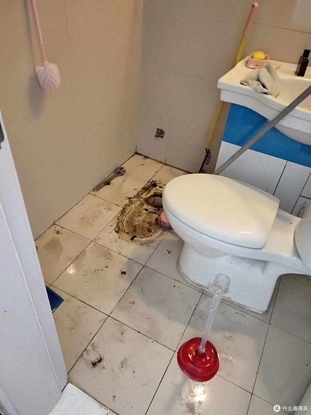 马桶拆成了这个样子