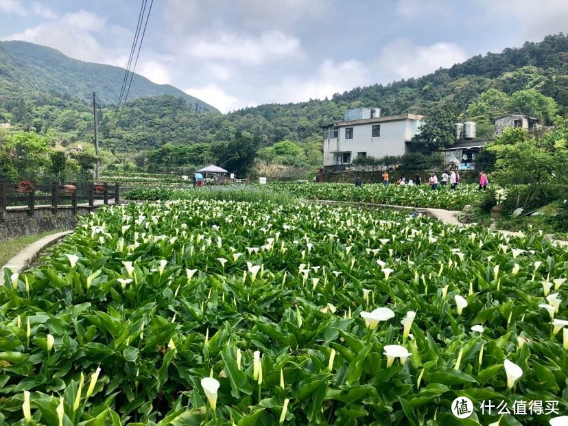 遇见.你-台湾6日自由行-游记篇