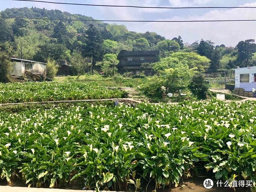 遇见.你-台湾6日自由行-游记篇