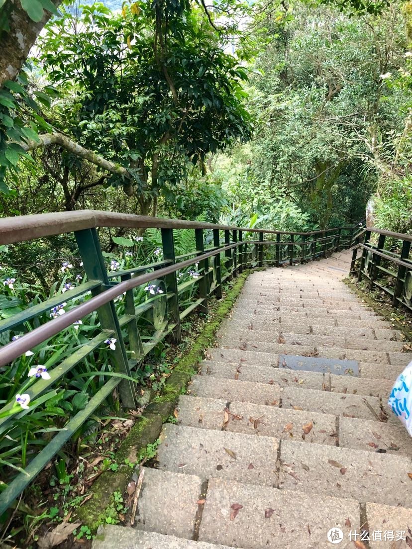 笔直的台阶，下山更是考验