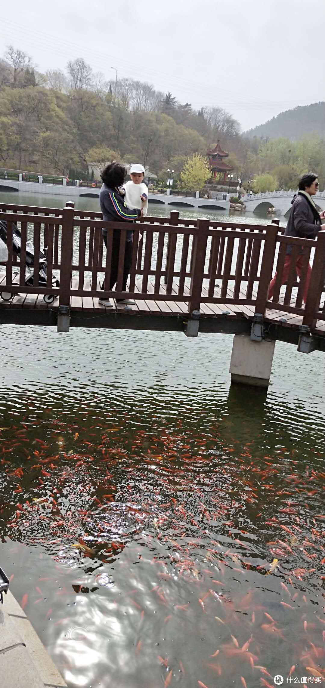 带娃儿游玩—不花钱的好地方