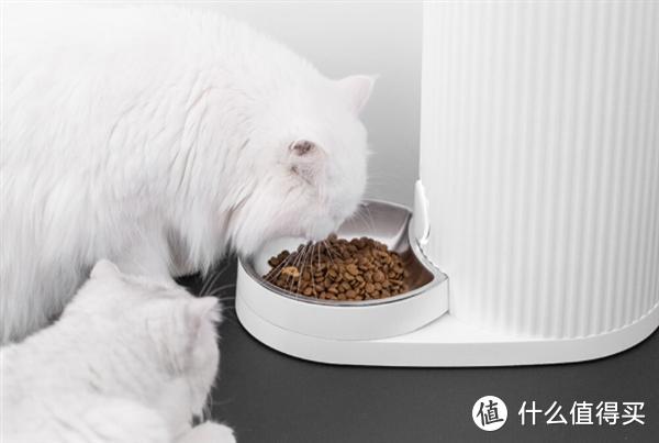 小米众筹上架宠物智能喂食器： APP远程控制 定时定量自动喂食