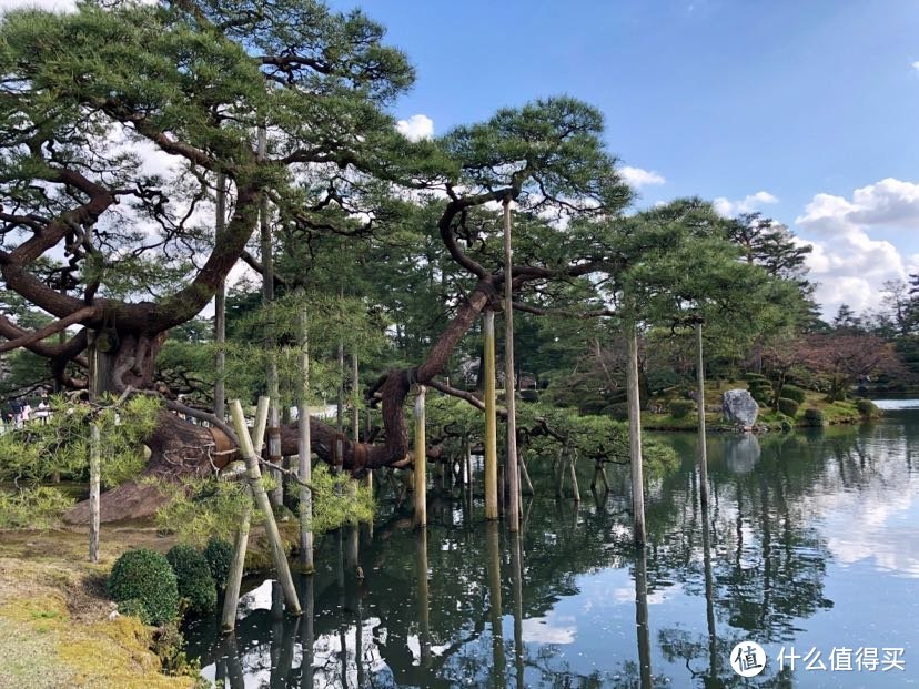 【关西晚樱+雪之大谷】平成最后的樱花，盛开在四月中旬