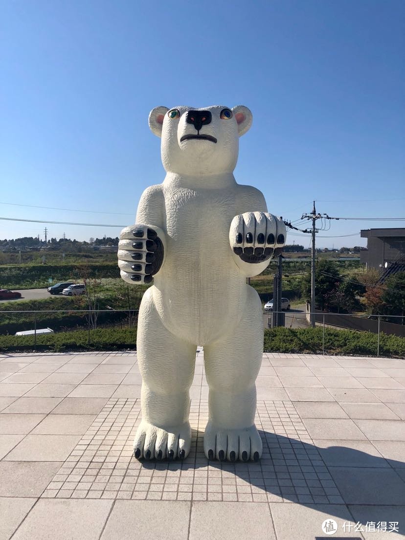 富山吉祥物-北极熊