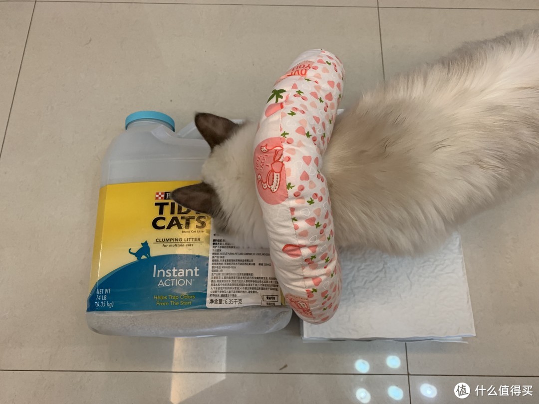 铲屎官的新选择：雀巢普瑞纳 TIDY CATS泰迪 即效除臭型猫砂 使用体验