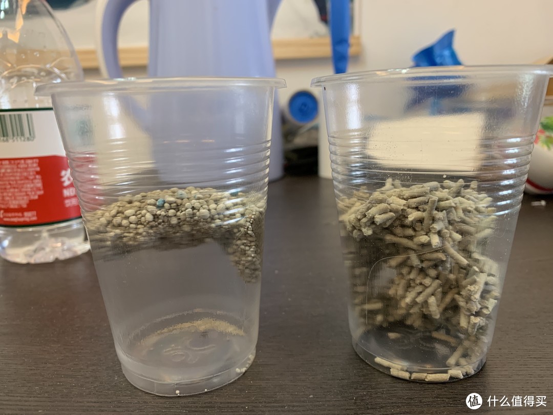 铲屎官的新选择：雀巢普瑞纳 TIDY CATS泰迪 即效除臭型猫砂 使用体验