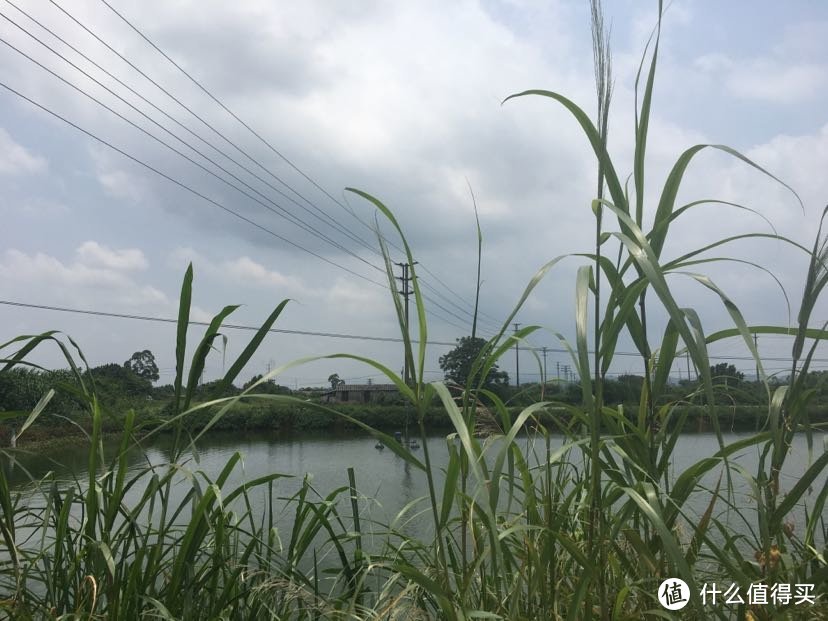 要下雨节奏