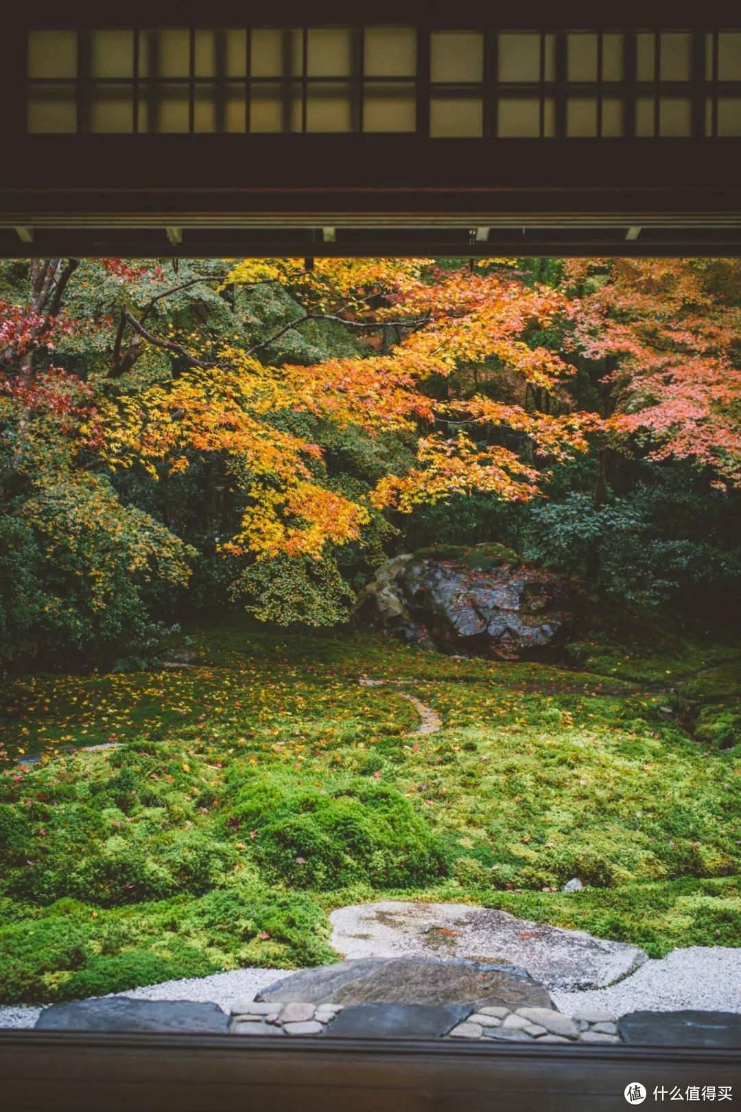 日本京都赏枫季，顺便打卡最新米其林餐厅！