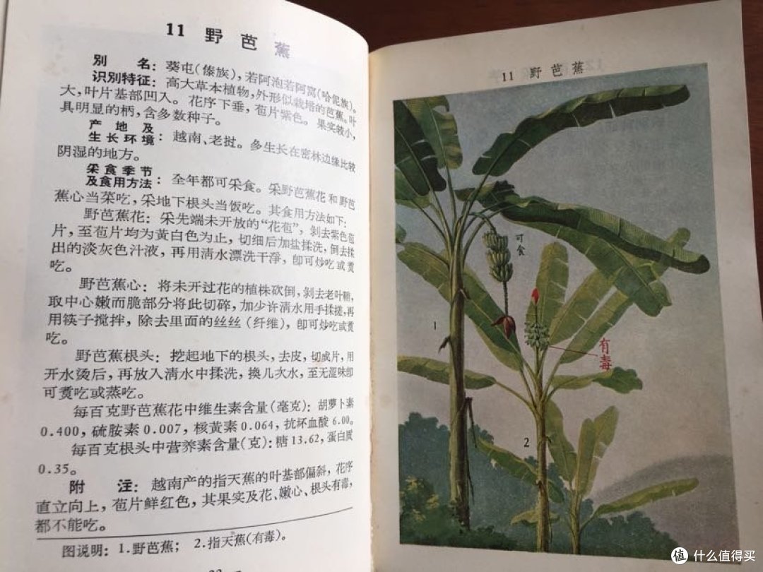 书中自有美味篇九 吃货的博物书籍介绍 备战 备荒 为人民 图书杂志 什么值得买