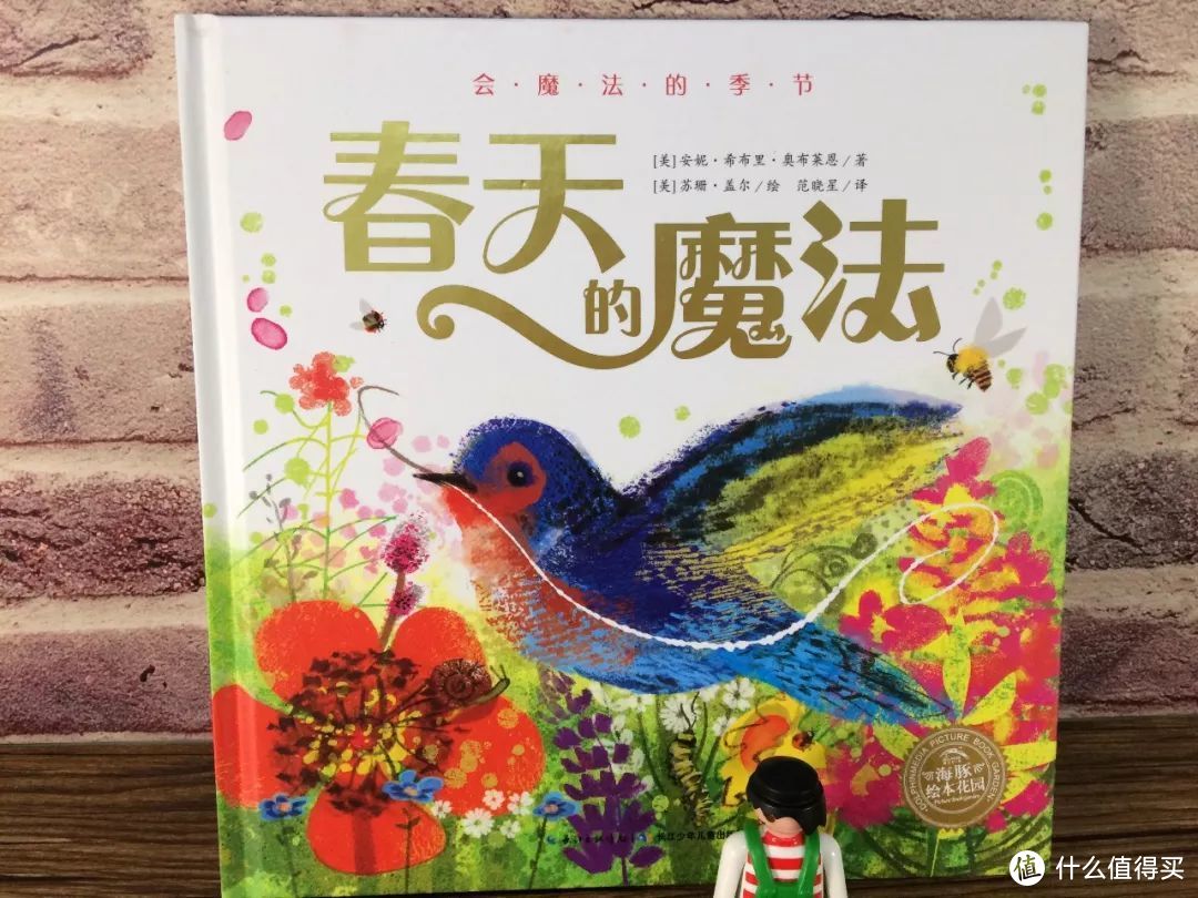 毛爸聊玩具：海豚的绘本，我全都想买回家 | 童书品牌说