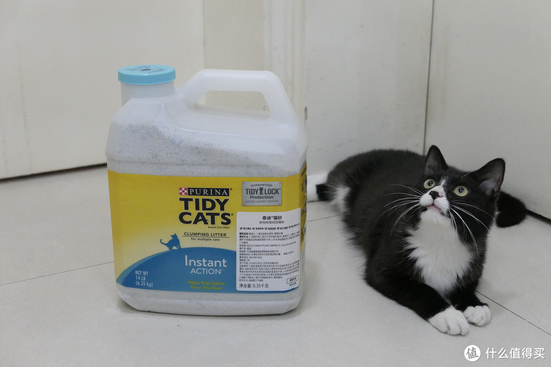 做三只猫的铲屎官，除了勇气你还需要：雀巢普瑞纳 TIDY CATS 即效除臭猫砂