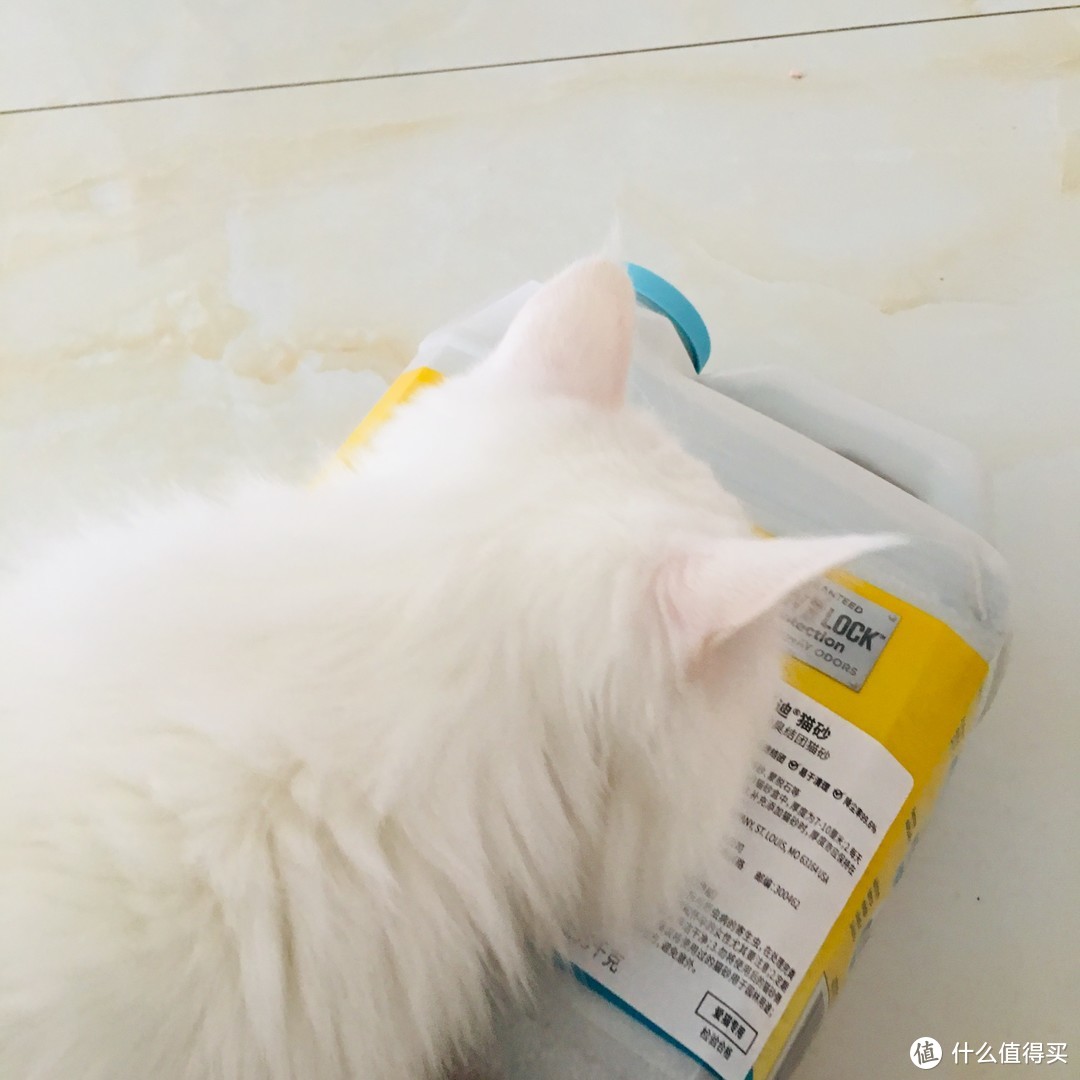 猫猫们的最爱！——超级好用的雀巢普瑞纳 TIDY CATS泰迪 即效除臭型猫砂 附可爱猫猫图