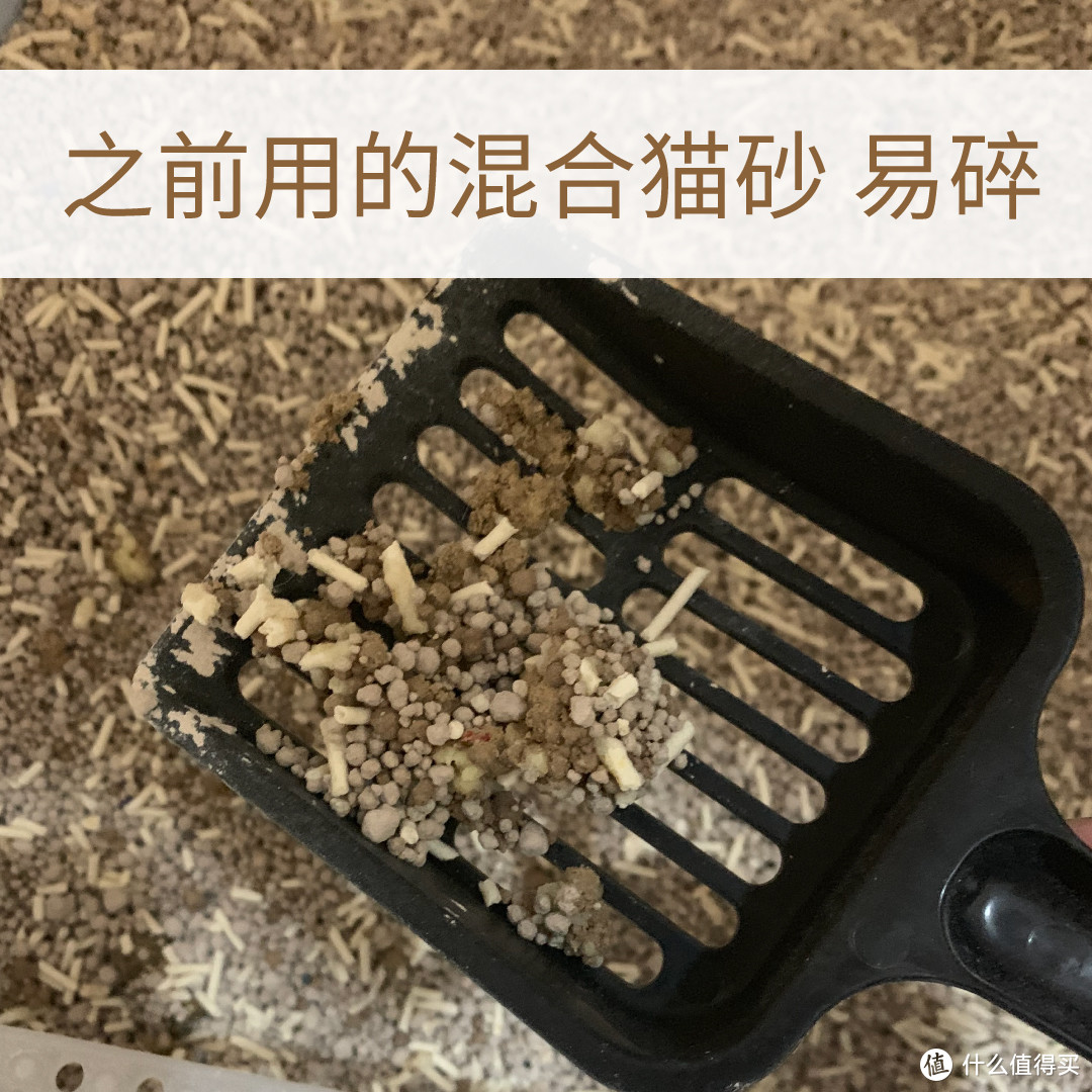 除臭力完全OK的一款猫砂 让你从此爱上铲屎~