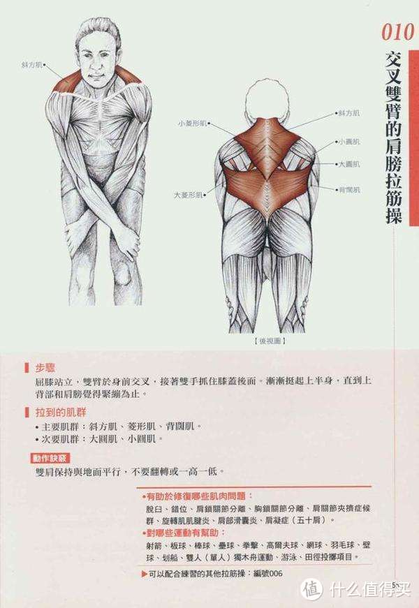 盛夏将至宜健身！快看这10本健身宝典，变身施瓦辛格一样的铁汉子！