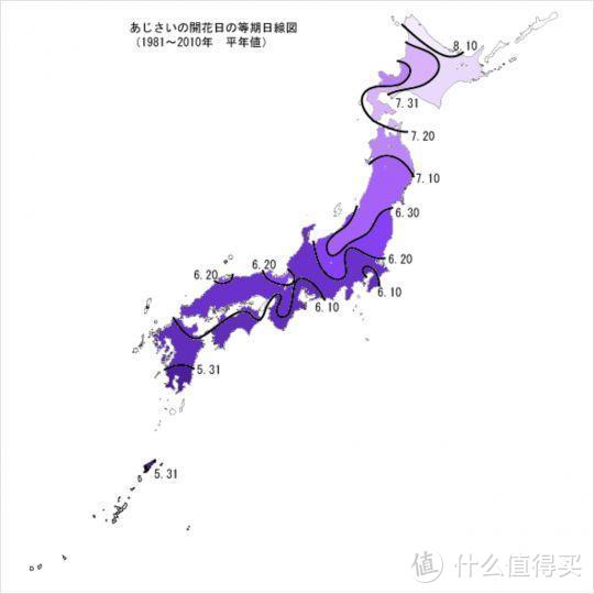 初夏限定 错过4月的樱花 雨季的紫阳花来了 国外度假 什么值得买