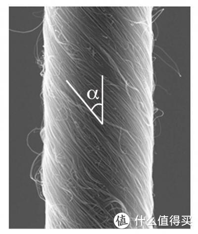显微镜下的单股纱线