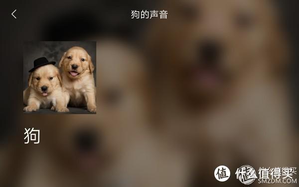 家里的“十万个为什么问题儿童”全由它搞定——小度人工智能音箱1S