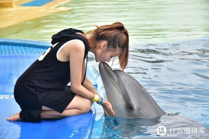 亚特兰蒂斯失落的空间水族馆，这里才是你了解海洋的入口