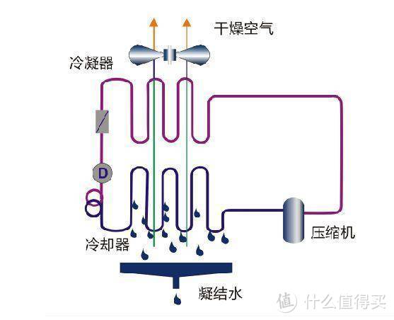 妈妈再也不用担心我发霉了-德业小型除湿机612S