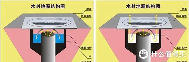 关于地漏，你想知道的都在这了