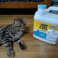 把屎味变得像九制成皮？雀巢普瑞纳 TIDY CATS 即效除臭猫砂体验