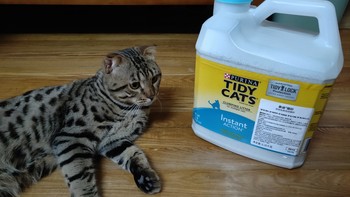 把屎味变得像九制成皮？雀巢普瑞纳 TIDY CATS 即效除臭猫砂体验