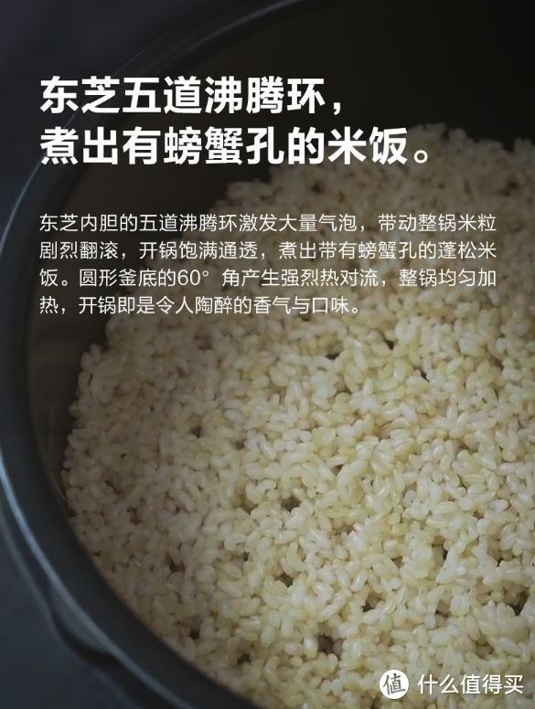 发个芽就能让普通大米营养价值翻倍？一键搞定发芽米 东芝 IH轻食电饭锅RC-15HNC 使用评测